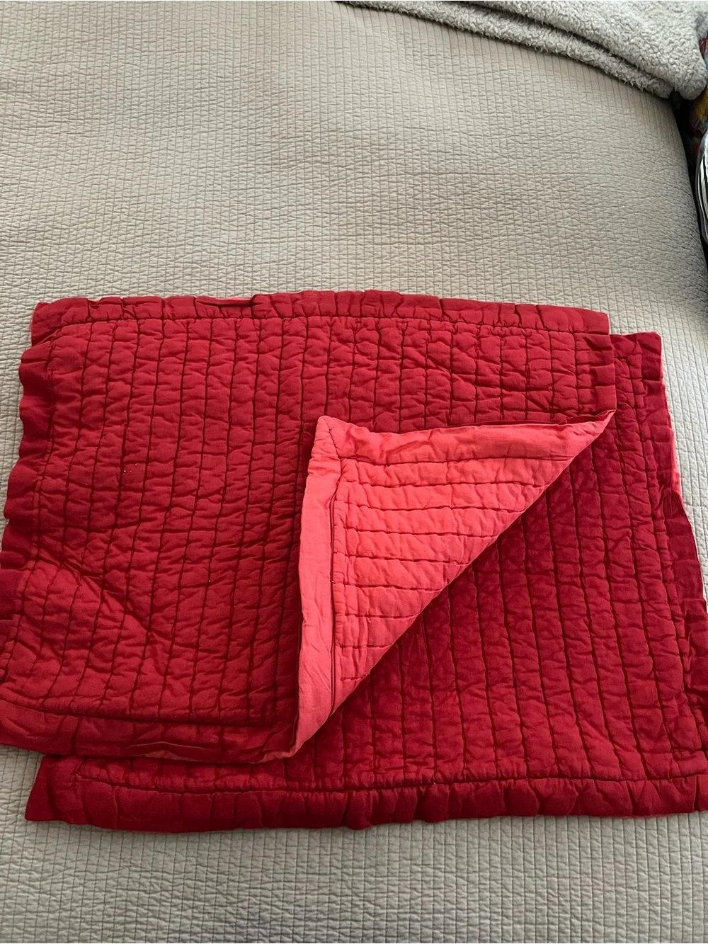 Pottery Barn Standard Pillow Shams (pair)